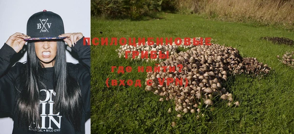 дурь Алексин