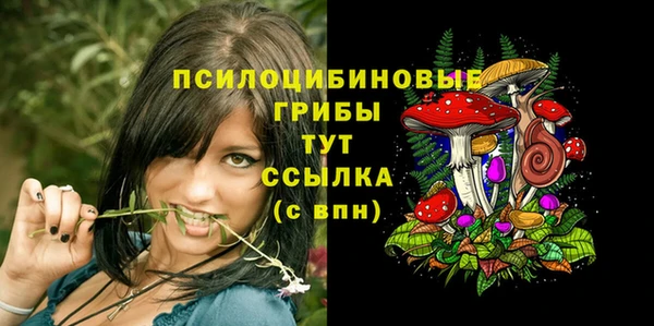 мескалин Осташков